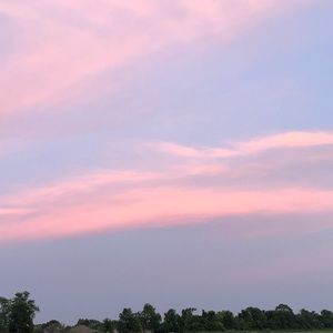 Meet your Posher, Malik